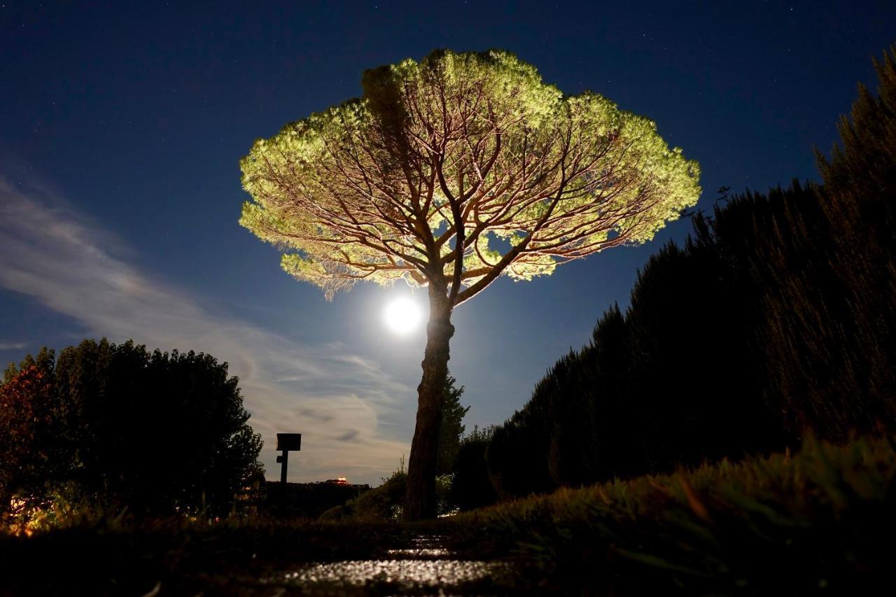 Agriturismo Buon Riposo - Country Resort In The Heart Of Tuscany San Giovanni a Corazzano Exterior foto